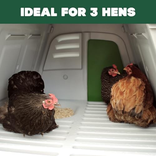 Portable green chicken coop on wheels — photo 3