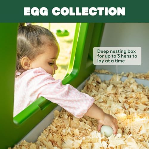 Large green plastic chicken tractor with run — photo 4