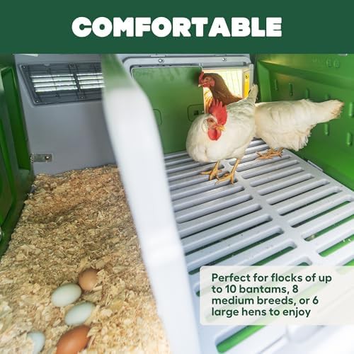 Large green plastic chicken tractor with run — photo 5