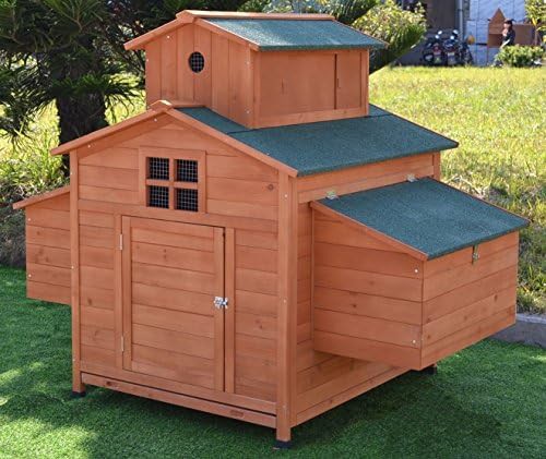 Large wooden coop with six nesting boxes