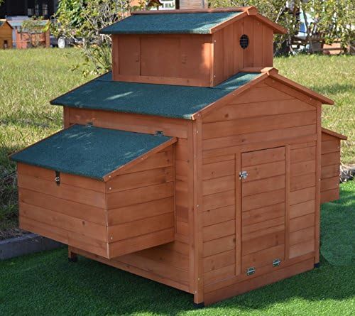 Large wooden coop with six nesting boxes — photo 4