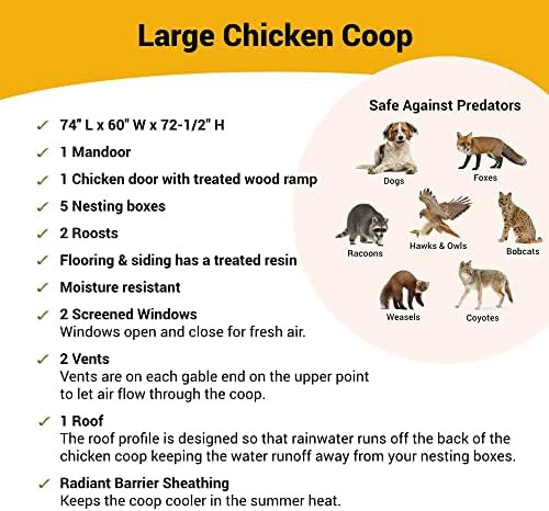 Classic large wooden house for fifteen chickens — photo 3