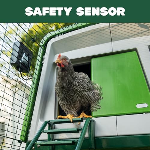 Green automatic chicken coop door opener — photo 5