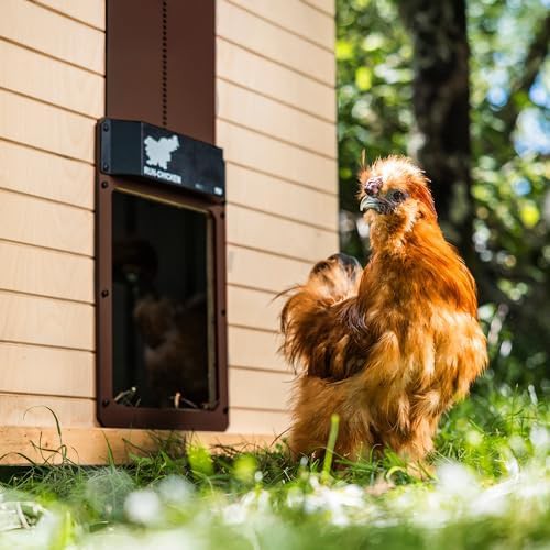 Automatic brown aluminum chicken coop door — photo 3