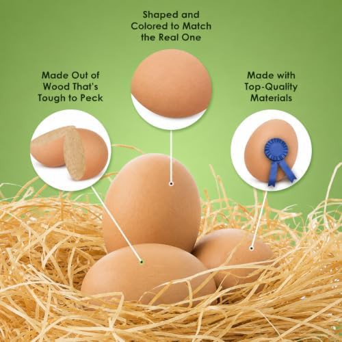 Beige wooden training eggs for nesting boxes — photo 4