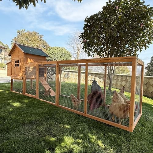 Large wooden hen house with outdoor run