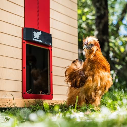 Automatic red aluminum chicken coop door — photo 3