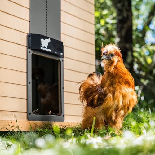 Automatic gray aluminum chicken coop door — photo 3