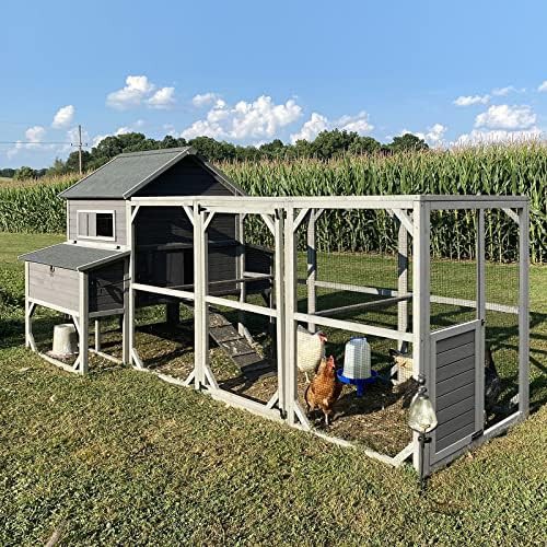 Extra large wooden coop with six nesting boxes
