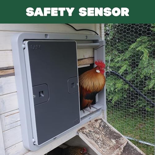 Grey automatic chicken coop door with sensor — photo 5