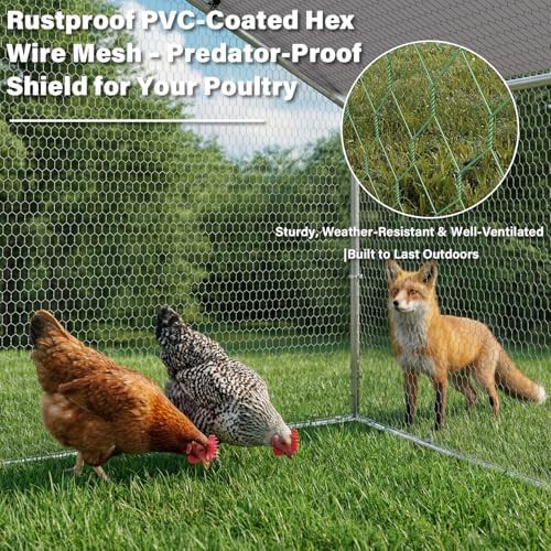 Extra large metal walk in chicken run — photo 4