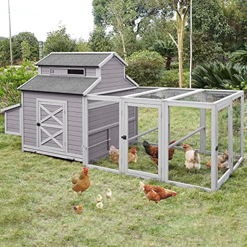 Large poultry house with run for ten birds