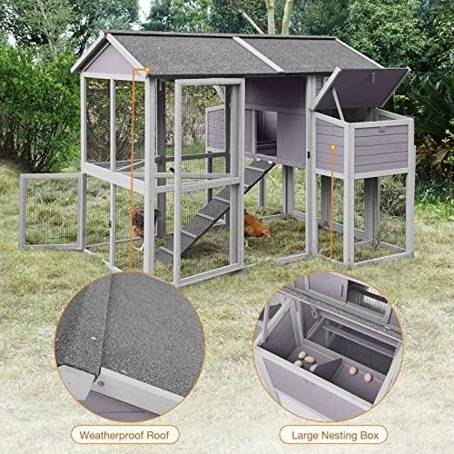 Large wooden hen house for ten chickens — photo 3