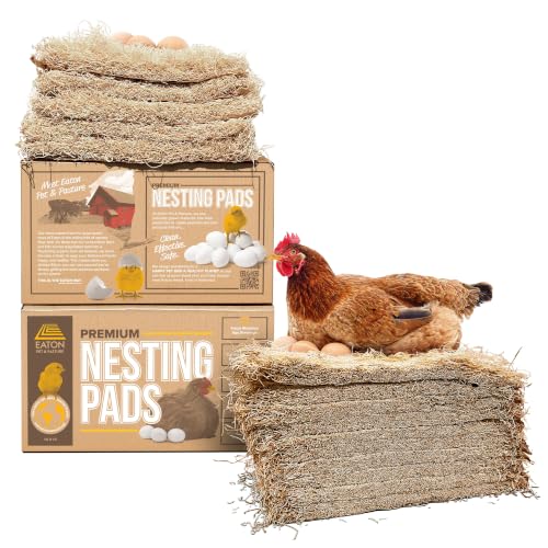 Eaton Pet and Pasture