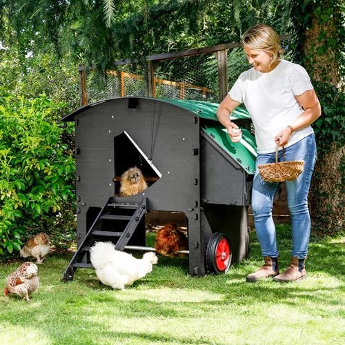 Large penthouse plastic coop for eight chickens
