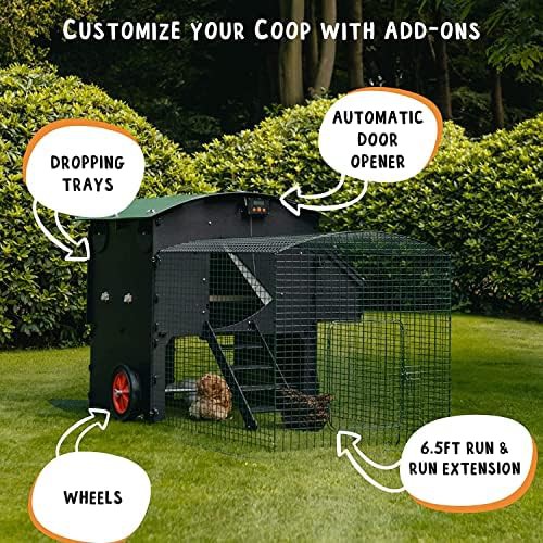 Large penthouse plastic coop for eight chickens — photo 5