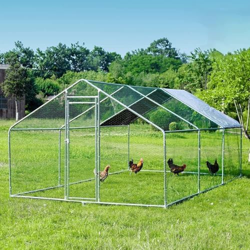 Large metal poultry run 19ft