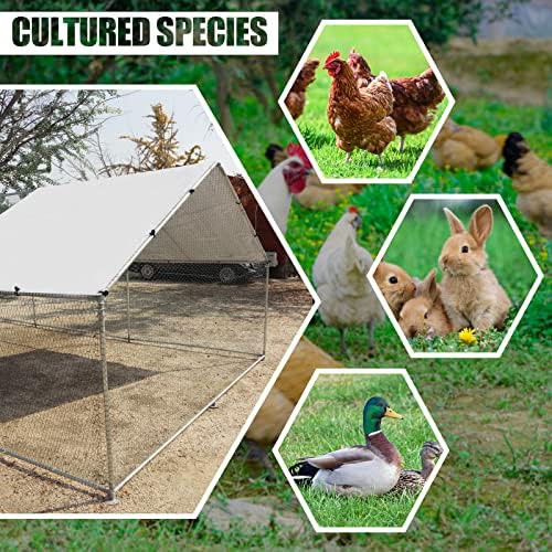 Galvanized spire shaped walk-in poultry habitat — photo 5