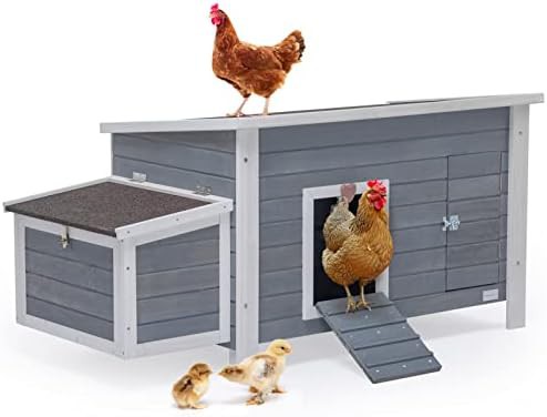 Wooden duck house with asphalt roof