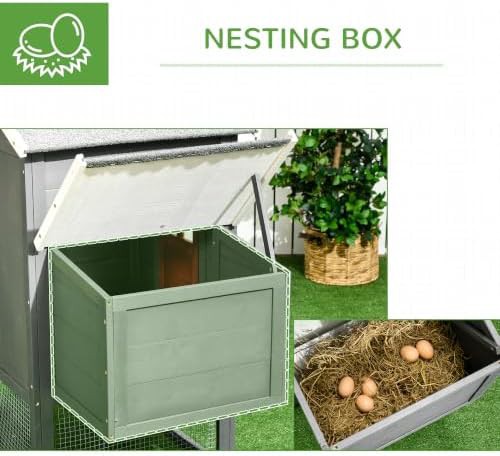 Extra large gray chicken coop with asphalt roof — photo 5