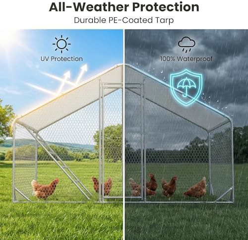 Large metal walk-in chicken run with cover — photo 4