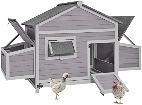 Outdoor wooden hen house with pull out tray