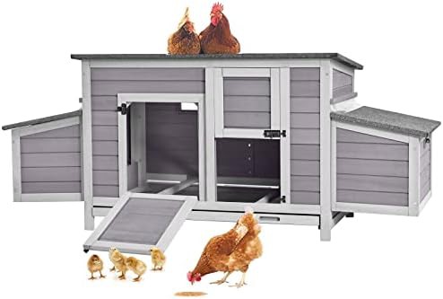 Expandable wooden hen house with front doors