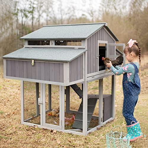 Foldable metal run chicken coop two story