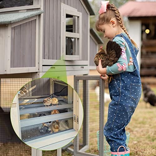 Foldable metal run chicken coop two story — photo 4