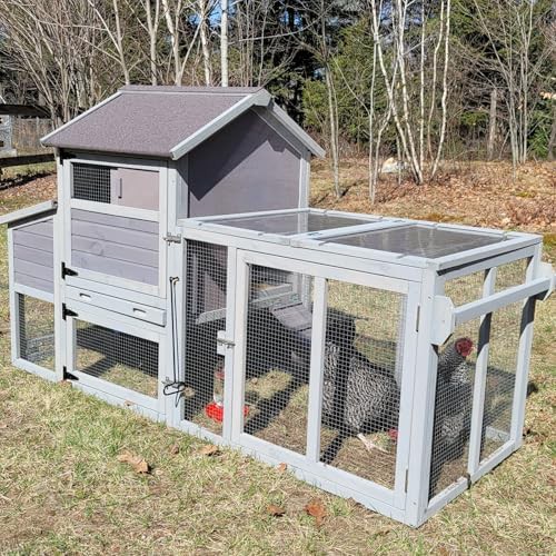 Grey wheeled coop with large nesting box