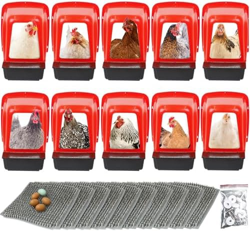 Red plastic nesting boxes with egg rollout