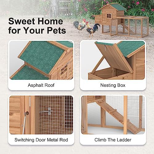 Wooden poultry house with pull-out tray — photo 4