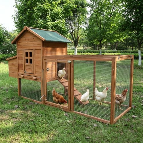 Wooden poultry house with pull-out tray — photo 5