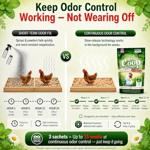 Mint scented natural chicken coop deodorizer — photo 5
