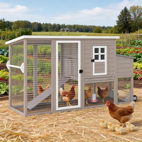 Wooden coop on wheels for four chickens