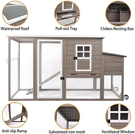Wooden coop on wheels for four chickens — photo 3