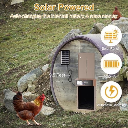 Solar automatic coop door with timer — photo 3