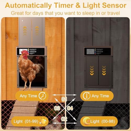 Solar automatic coop door with timer — photo 4
