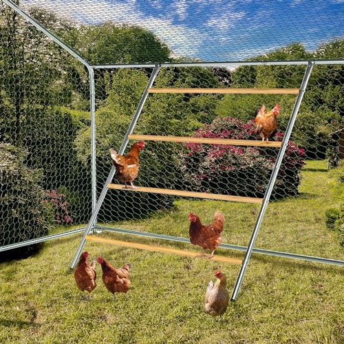 BESBLEE