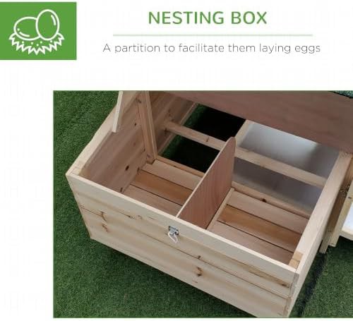 Natural wood hen house with ramp and tray — photo 5