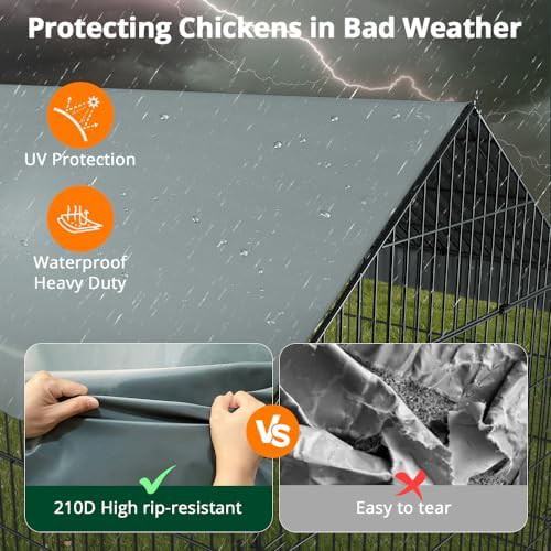 Large 21ft outdoor chicken run pen — photo 3