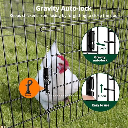Large 21ft outdoor chicken run pen — photo 5