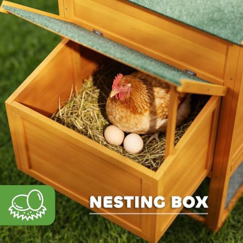Orange coop with asphalt roof and nesting box — photo 5