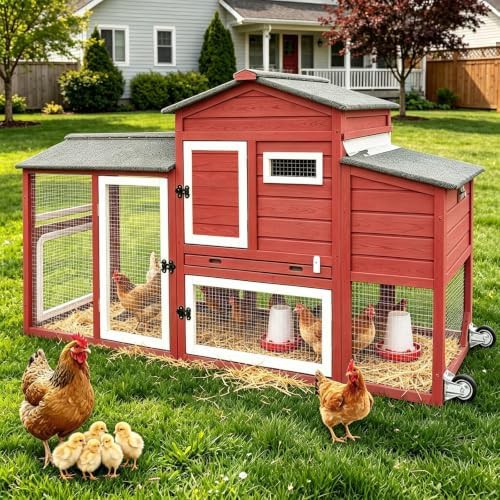 Backyard coop with wheels for three chickens
