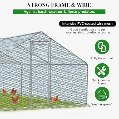 Large metal walk in poultry habitat — photo 3