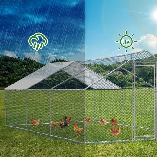Large metal walk in poultry habitat — photo 4