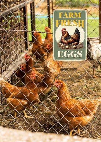 Retro metal farm fresh eggs sign — photo 4