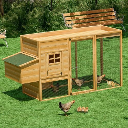 Wooden multi level coop with nesting box — photo 3
