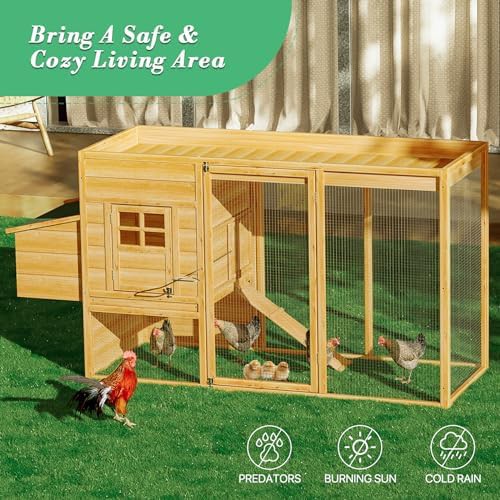 Wooden multi level coop with nesting box — photo 4