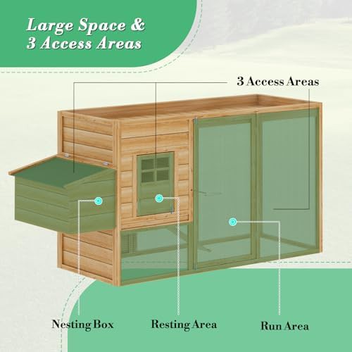 Wooden multi level coop with nesting box — photo 5